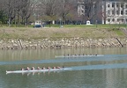 Women s Varsity 8 g